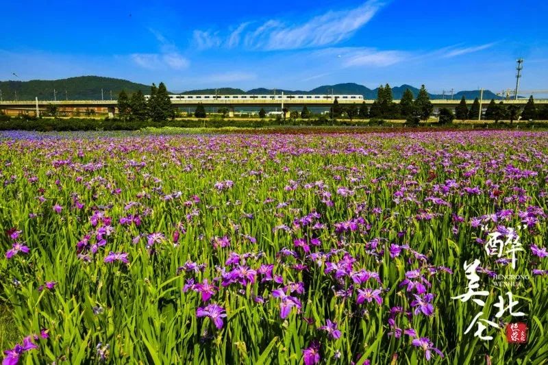 家在北仑,我有一个家北仑