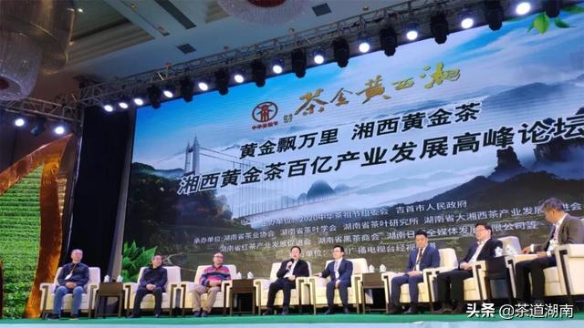 湘西黄金茶叶,湘西的黄金茶中国排名