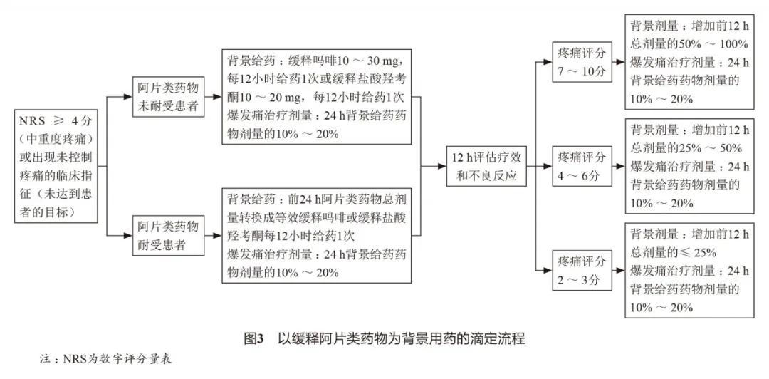 江苏省成人癌症疼痛诊疗规范,2020年版