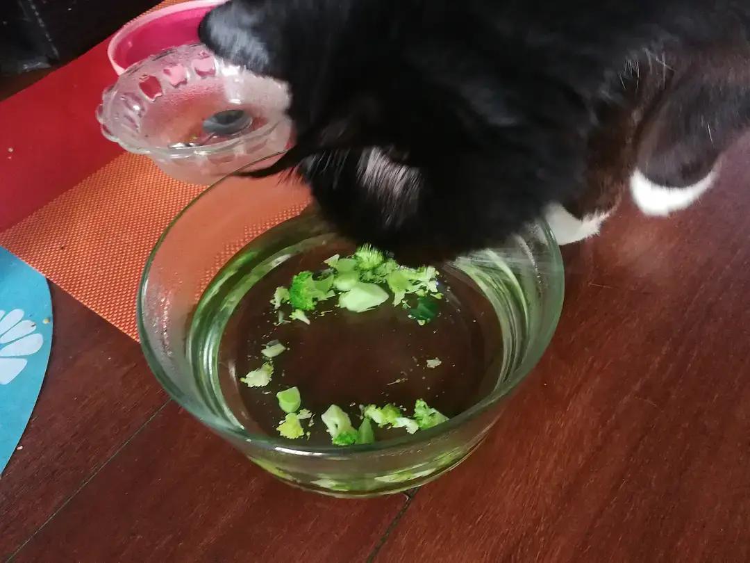 糖尿病患者胆囊炎胰腺炎同时出现,胆囊结石胰腺炎糖尿病