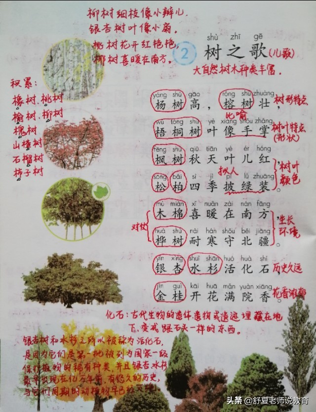 二年级树之歌课文笔记整理,小学二年级树之歌内容