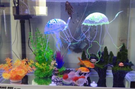 鱼缸假花草不伤鱼,植物放在鱼缸里真的对鱼有用吗