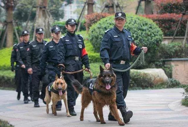 万里挑一的人最优秀吗,万里挑一的幸运才让我们彼此相遇