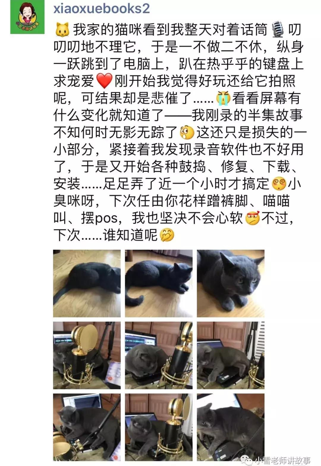 土拨鼠当宠物养合法吗,宠物土拨鼠能只养一只吗