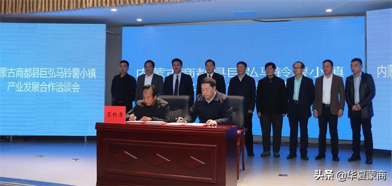 内蒙商都县马铃薯基地,内蒙古马铃薯种植示范基地