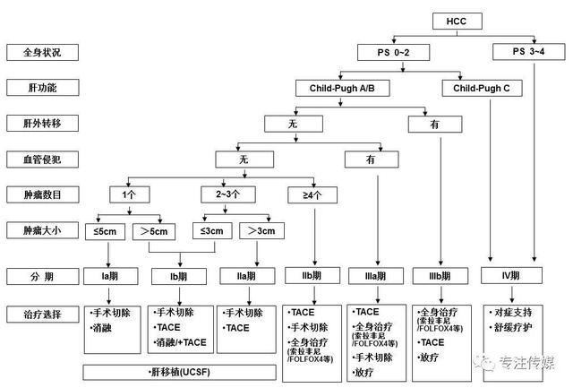 csco原发性肝癌诊疗指南解读,原发性肝癌规范治疗