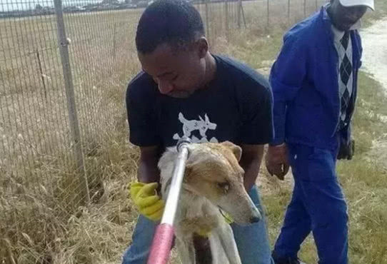 鐢蜂汉鐢ㄦ毚鍔涢┍璧舵祦娴嫍,涓轰粈涔堜繚瀹夎鎶婂悇绉嶆祦娴嫍鎵撴