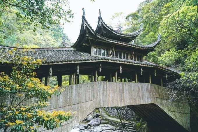 泰顺旅游自驾游景点推荐,浙南小九寨泰顺一日游