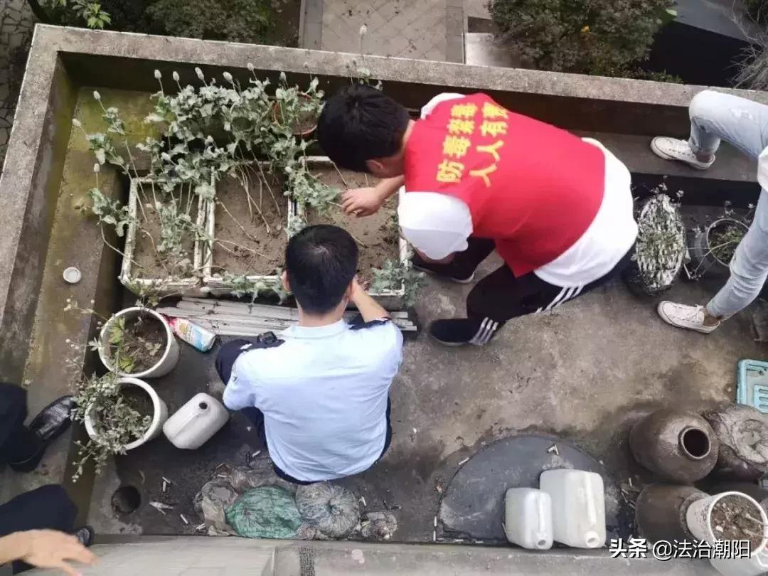 异想天开!竟然用这种方式治牙痛