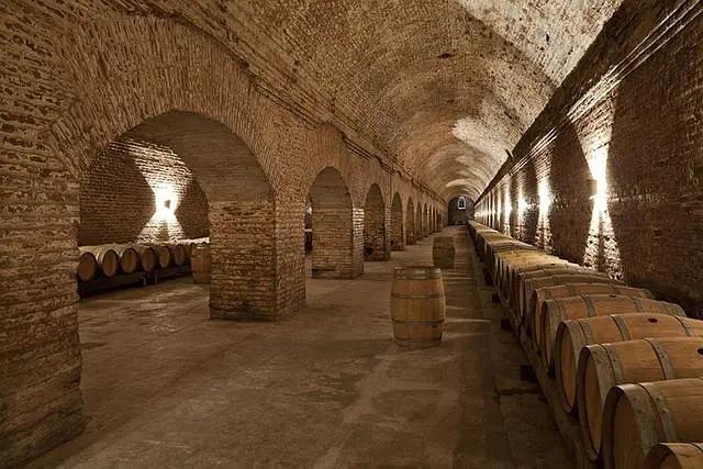 智利十大的酒庄排名榜最新,智利葡萄酒十大酒庄