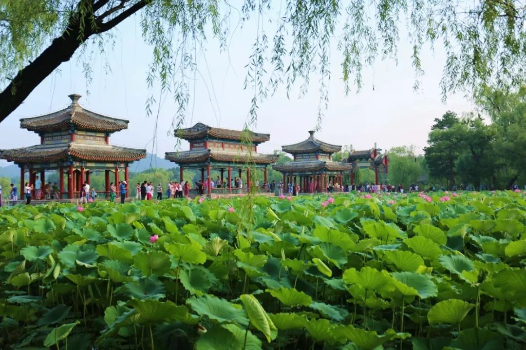 北京避暑,北京值得一去的皇家园林