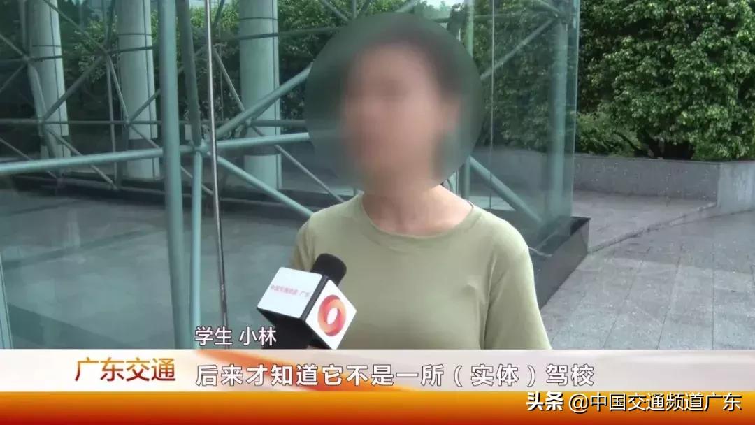 猪兼强驾校处理结果,猪兼强驾校最新消息