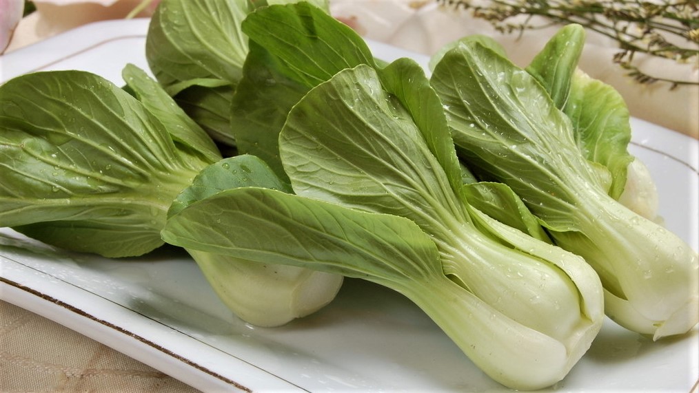 无土栽培还有哪些创意,无土栽培技术能够打造生态家园吗