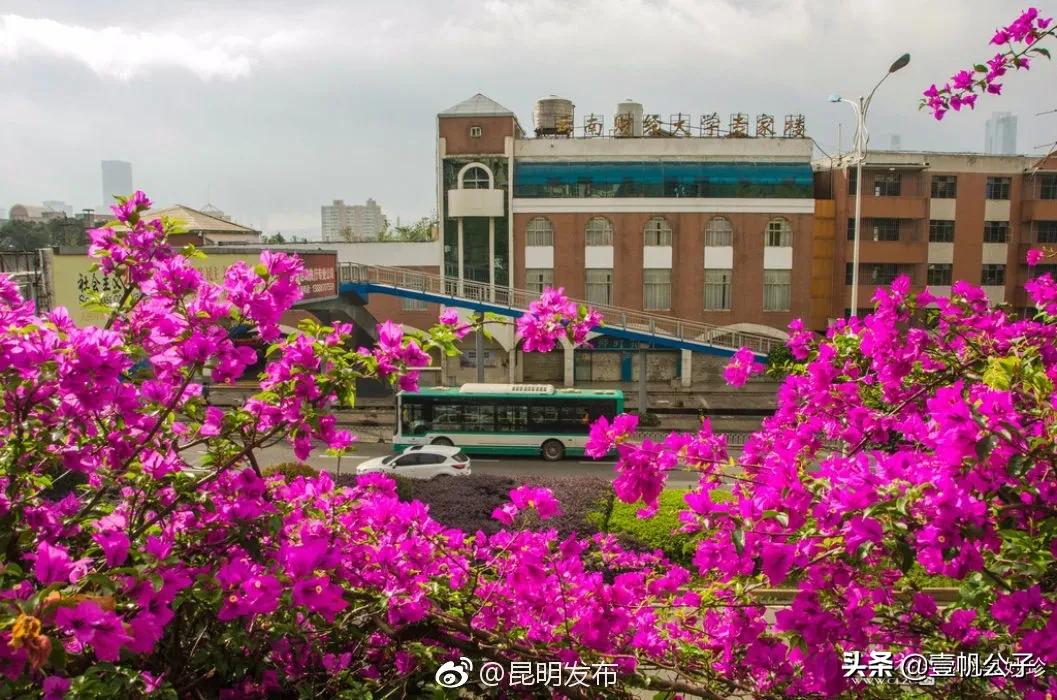 被大理的美景所折服,被丽江的风景美到了