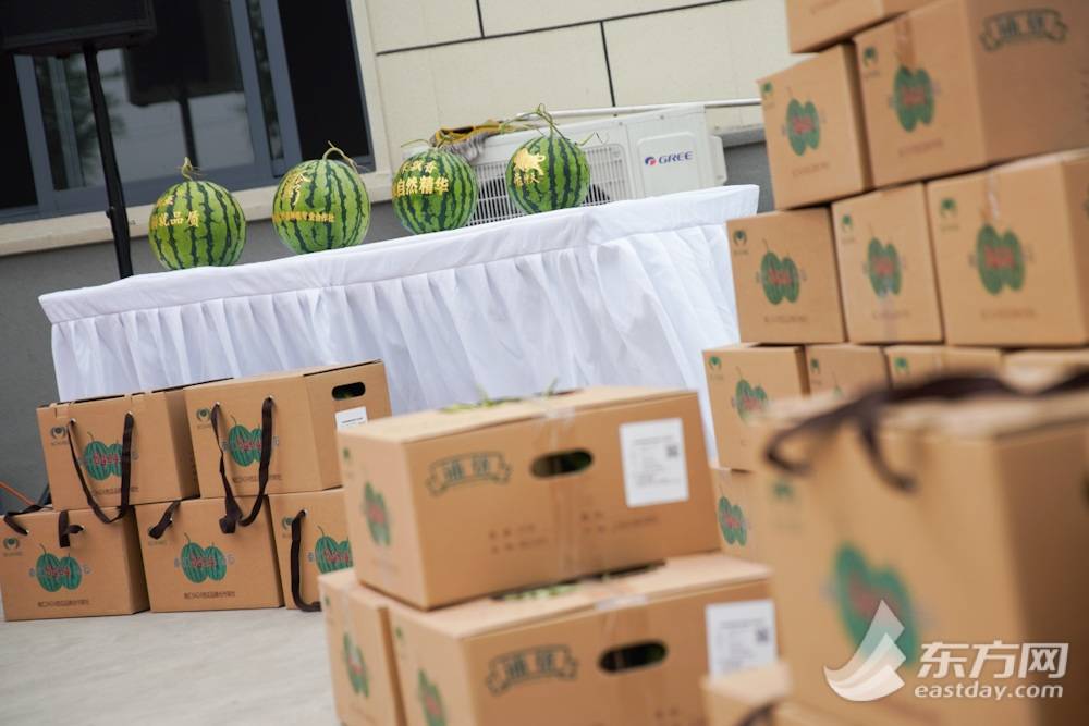 安徽8424西瓜产地批发多少钱一斤,今日西瓜价格最新行情8424