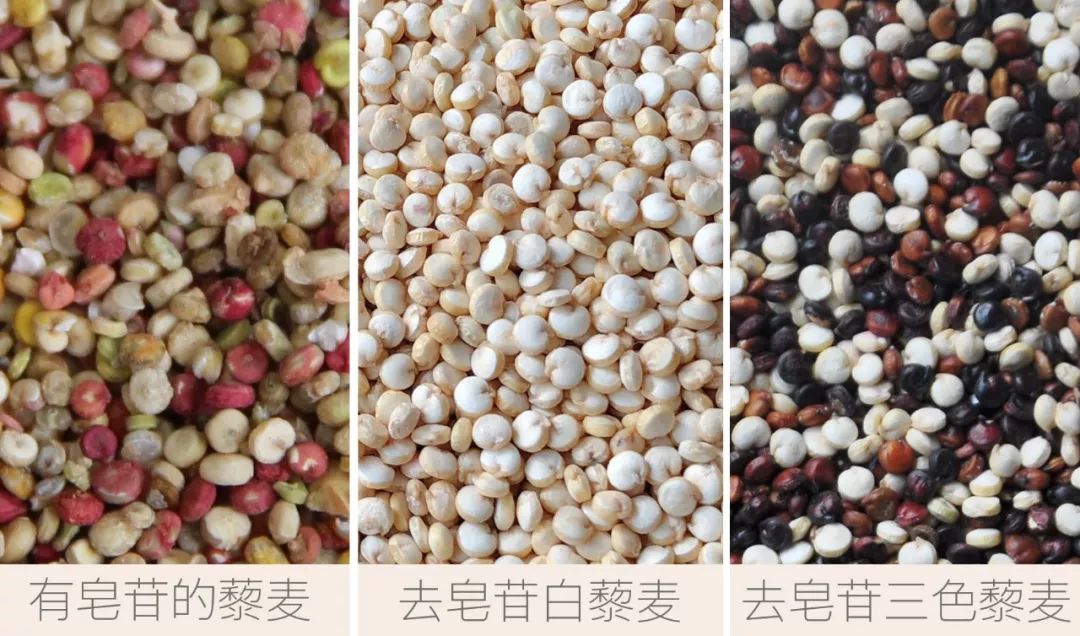 科颜氏夜间藜麦精华适合混油皮吗 (科颜氏藜麦焕肤精华液怎么用)