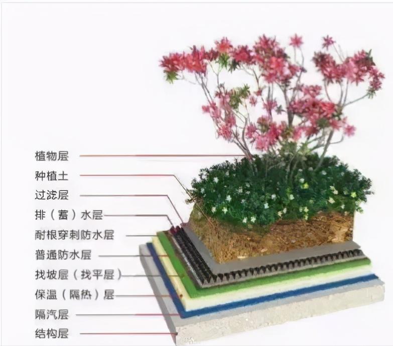 种植屋面的防水施工流程教程,江西种植屋面耐根穿刺防水卷材