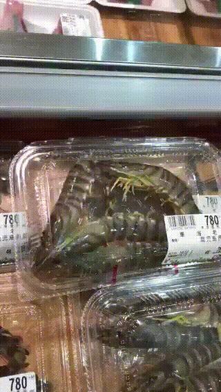 股市利好落地的搞笑视频,大盘反弹了搞笑图