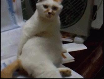 小孩子洗完澡身上发痒起疙瘩,刚洗完澡身上发痒起疙瘩怎么回事