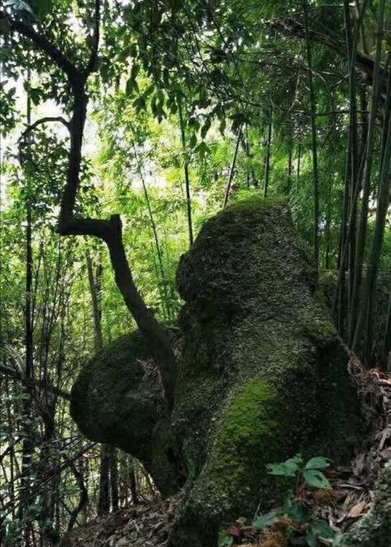 江湖路的风景视频,江湖路上走走停停