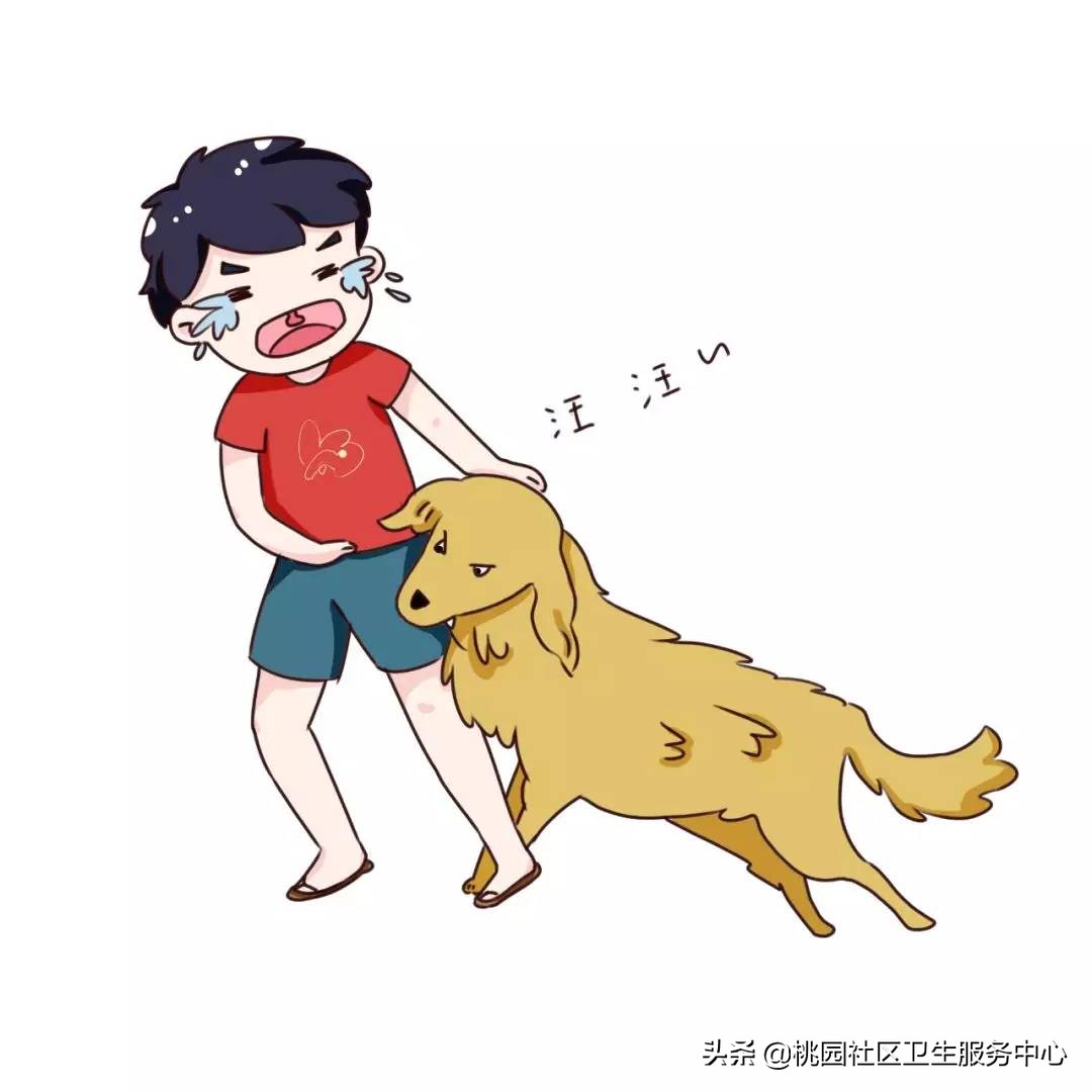 狂犬病的真相请不要再无知下去了,狂犬病不可怕别被谣言误导啦