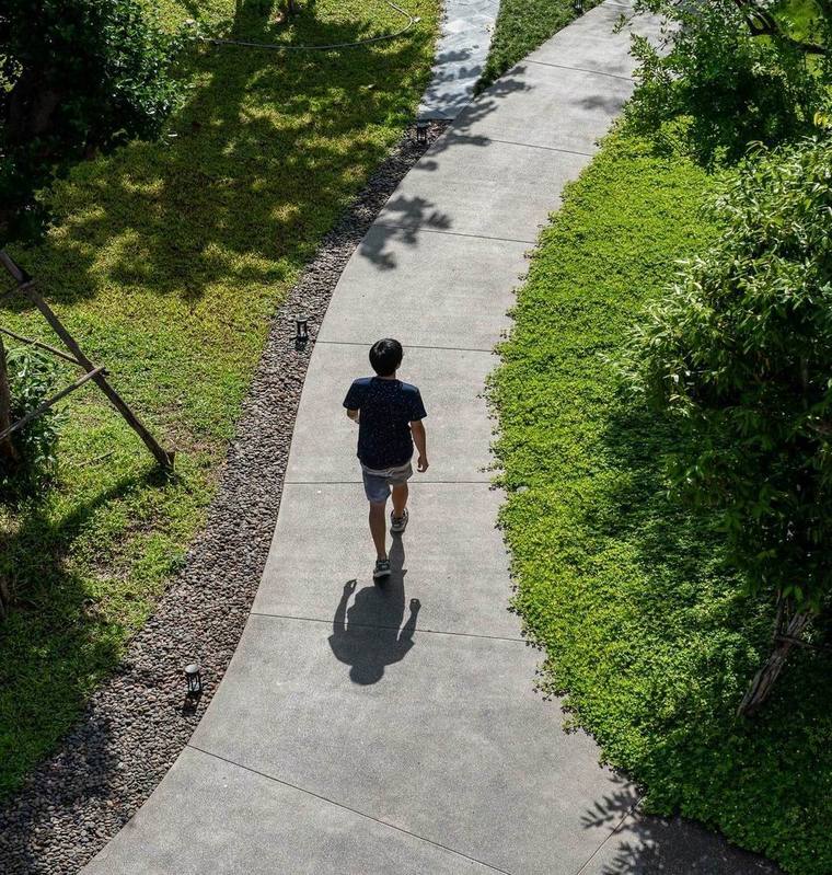 住宅区景观植物配置,居住区景观设计要点和方法有哪些