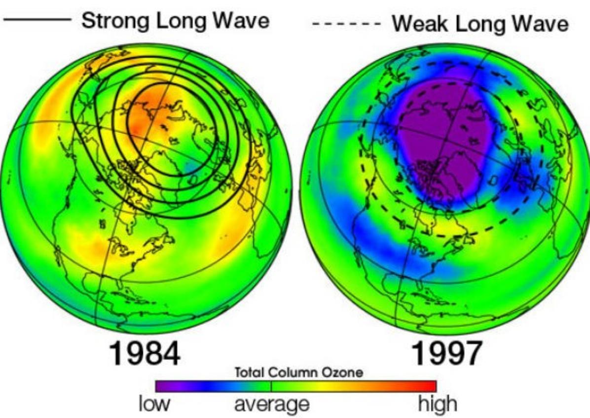 本世纪的生态污染对地球环境的极端影响