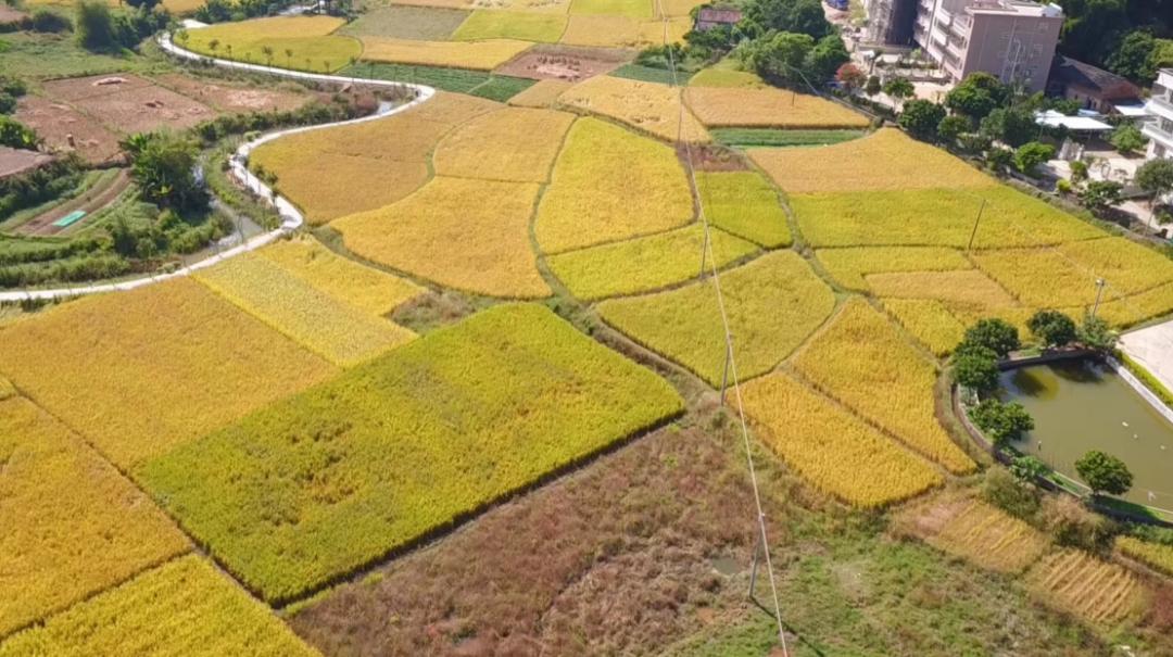 苏式园林温泉别墅,隐藏在山野的日系温泉别墅