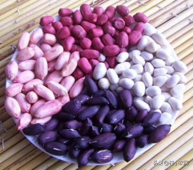 农村种植什么赚钱不愁销路,农村最赚钱的种植创业项目有哪些