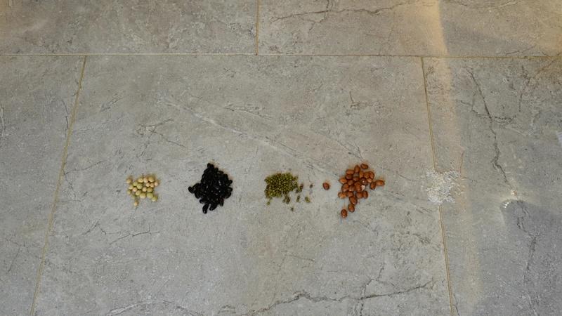 做家务原来这么简单-睿米无线擦地吸尘器NEXVX