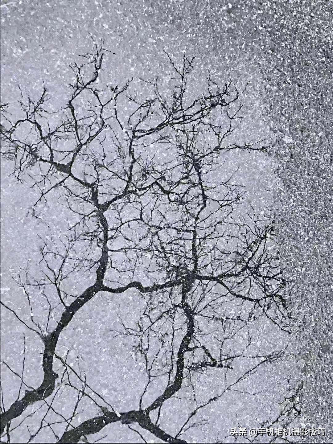 15张普通人拍的照片,15张个人自拍照片