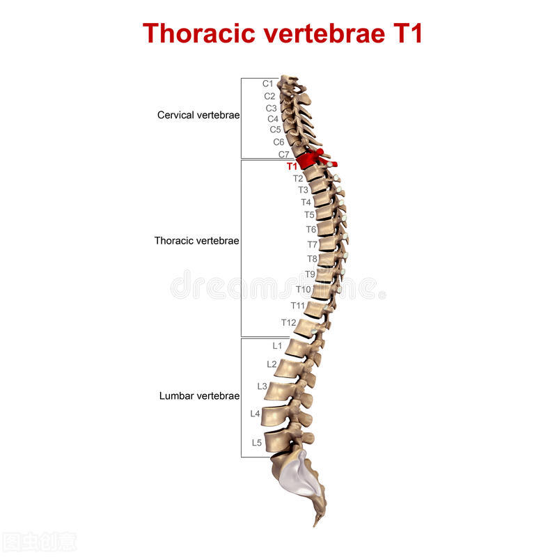 腰隐隐作痛是与肾有关系吗,女人右腰隐隐作痛怎么回事