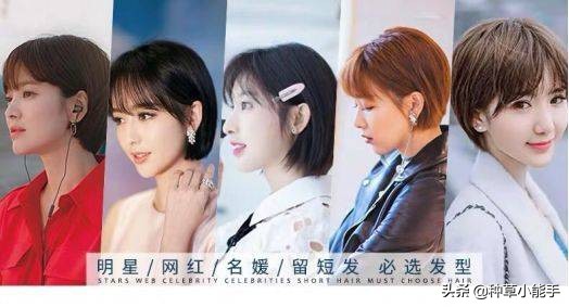 突如其来的下一句,突如其来是种什么感受