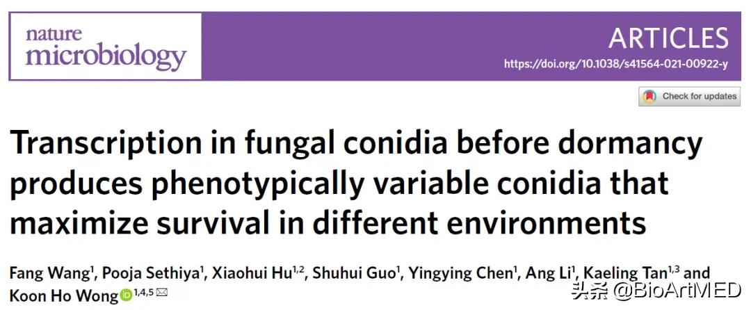 真菌的无性孢子和有性孢子,真菌孢子和霉菌是一回事吗