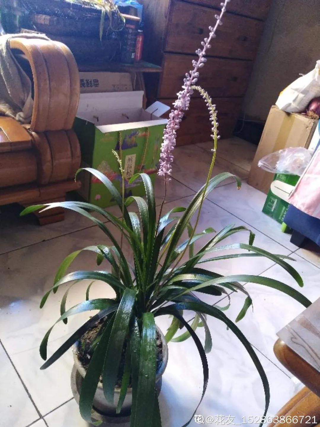 教你如何避开假货买到真品,一张图告诉你怎样分辨假货