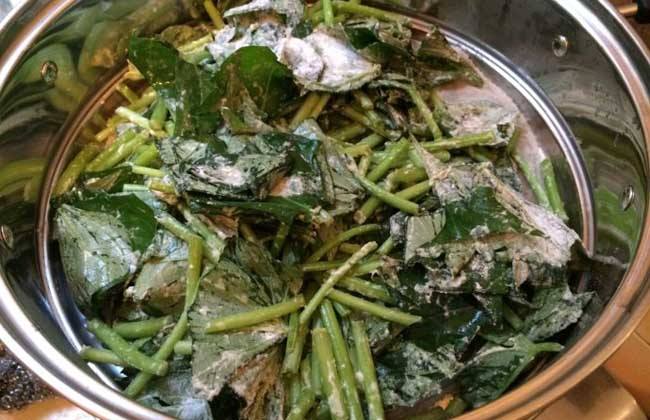 暑假之乐作文,暑假之行