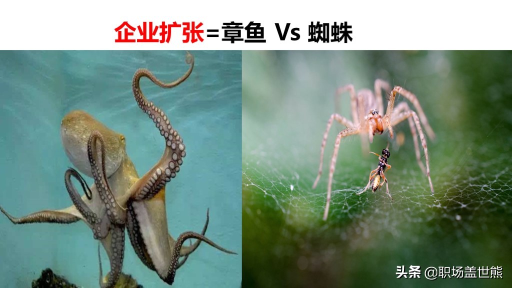 动物世界给我们的启示,动物世界教育意义