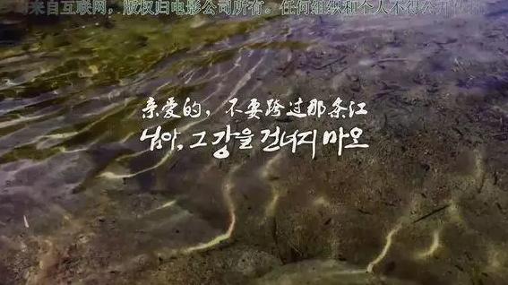 韩国最感人的爱情影片,感人催泪片段韩国纪录片