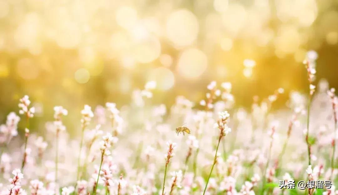 文言文常考通假字汇总,文言文通假字归纳汇总中职