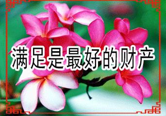 一份暖心的问候致我牵挂的朋友,真心的祝福送给每一位真心的朋友