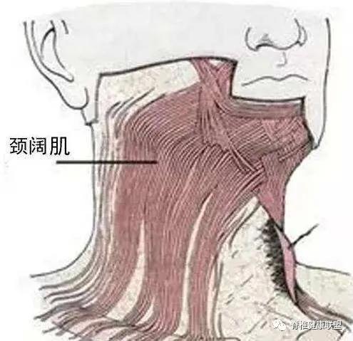 双下巴有什么办法可以消除,是什么原因让双下巴越来越严重