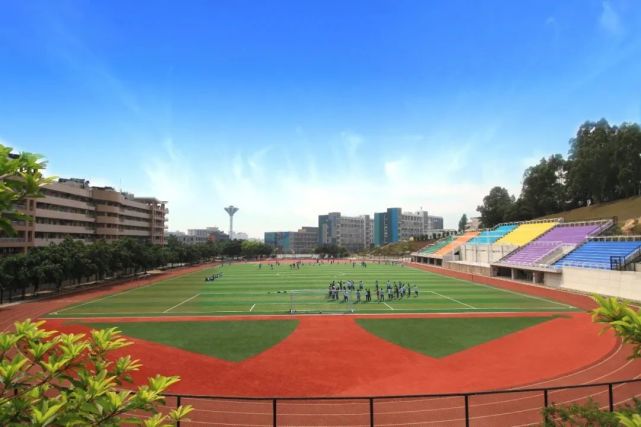 广东岭南职业技术学院2024分数,广东岭南职业技术学院志愿填报