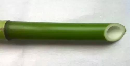 科学实验a4纸怎么才能又高又立住,科学实验a4纸的魔力