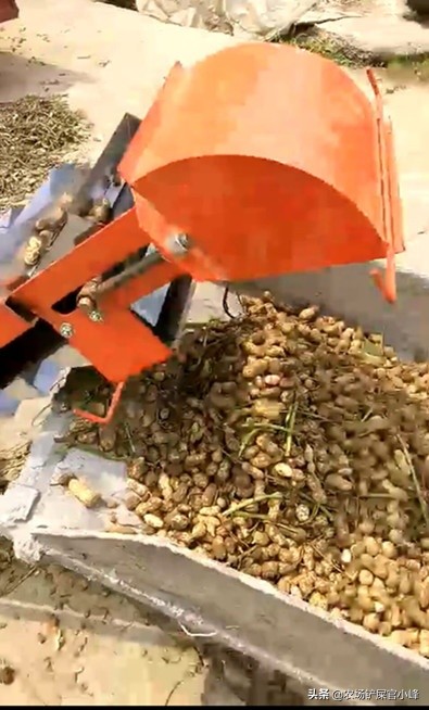 花生种免费经营模式,免费摘花生项目