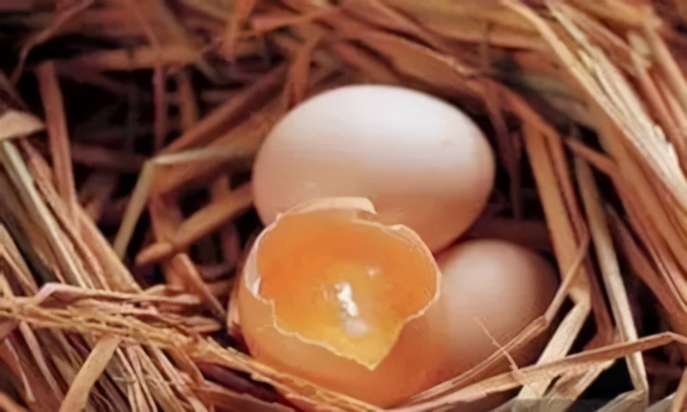 用醋洗头发有什么好处,鸡蛋清和醋保养头发有用吗