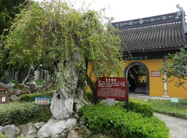 江浙旅游古镇攻略超详细,离上海近的不要门票的江浙古镇