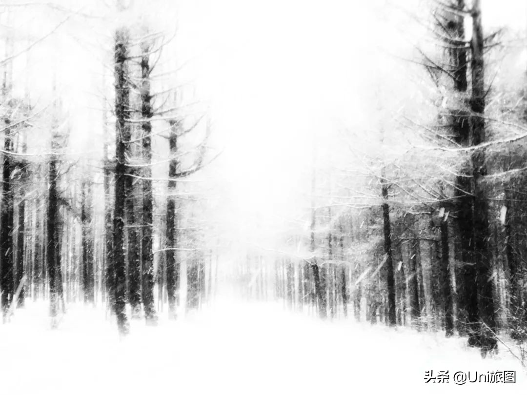 美图欣赏黄河全貌,航拍九曲黄河最美视频