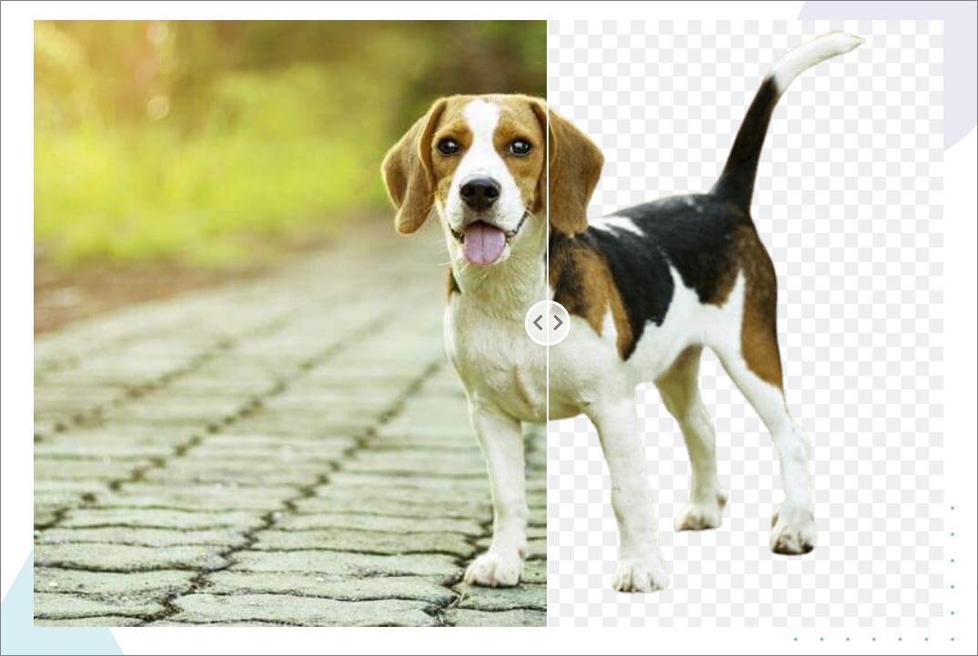 搞定ps抠图教程网址,5个ps抠图技法解决99%抠图难题