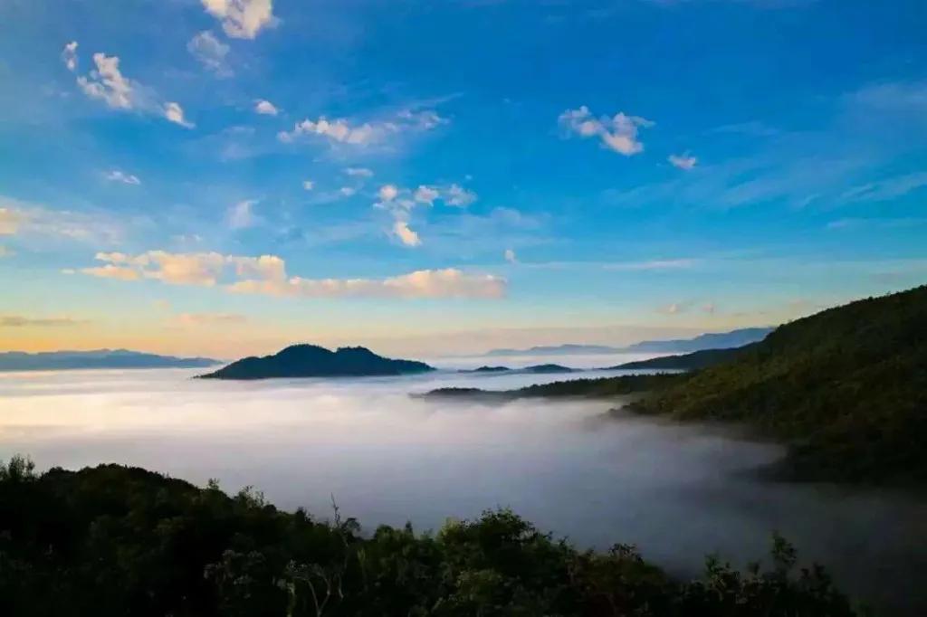 最惨茶厂：高频轰炸中坚持生产茶叶