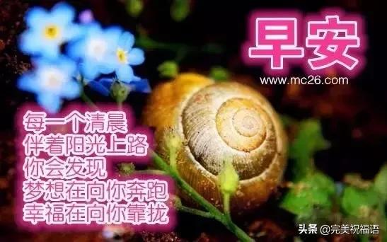 春分节气早安祝福,今日春分早安心语
